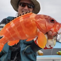 海晴丸 釣果