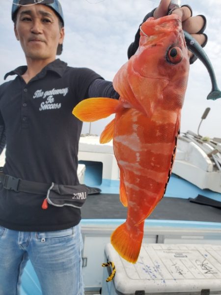 海晴丸 釣果