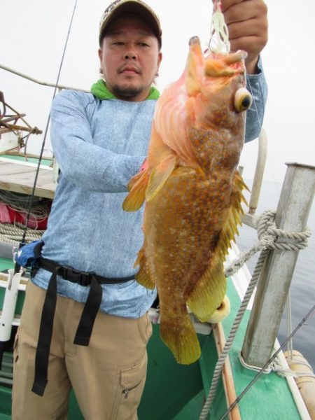 真祐丸 （しんゆうまる） 釣果