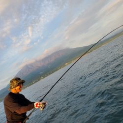 海晴丸 釣果