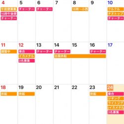 「LaGooN」蒼陽丸 日和号 釣果