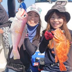 ARCADIAⅡ (アルカディアⅡ) 釣果