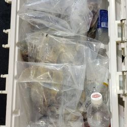 海龍丸（石川） 釣果