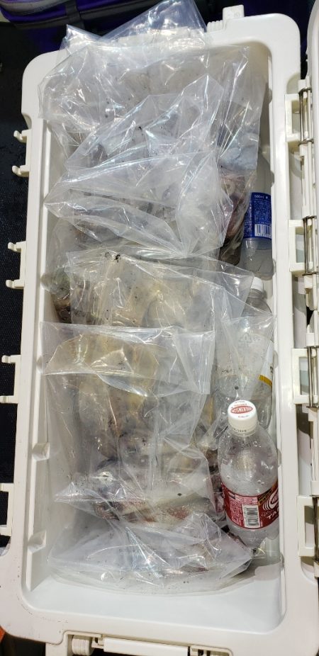 海龍丸（石川） 釣果