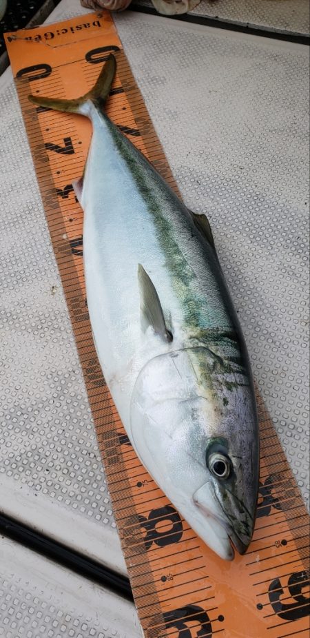 釣人家 釣果