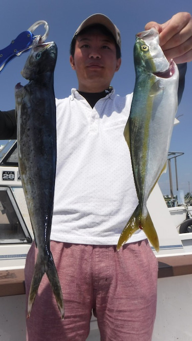 ＪＤＩ　Ｒａｃｉｎｇ　シールズマリンレジャー 釣果