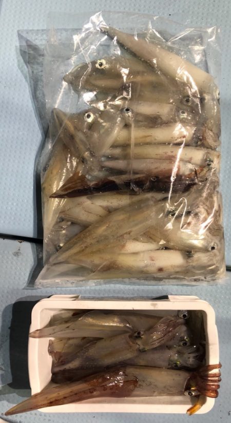 第二八坂丸 釣果