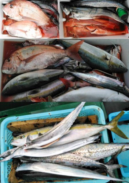 Big One ビッグワン 釣果