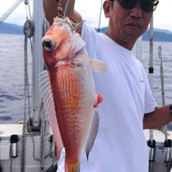 ARCADIAⅡ (アルカディアⅡ) 釣果