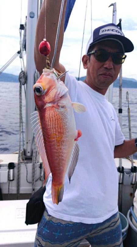 ARCADIAⅡ (アルカディアⅡ) 釣果