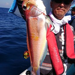 ARCADIAⅡ （アルカディアⅡ） 釣果