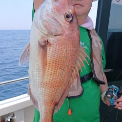 ARCADIAⅡ (アルカディアⅡ) 釣果