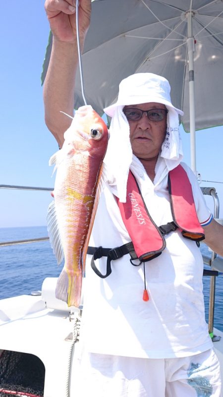 ARCADIAⅡ (アルカディアⅡ) 釣果