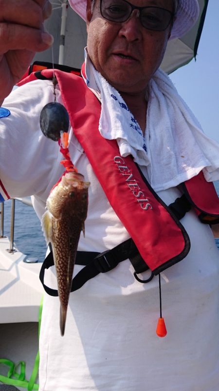 ARCADIAⅡ (アルカディアⅡ) 釣果