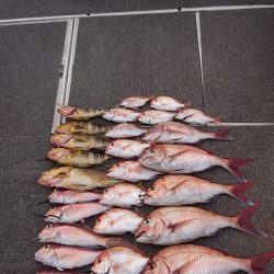 ARCADIAⅡ (アルカディアⅡ) 釣果