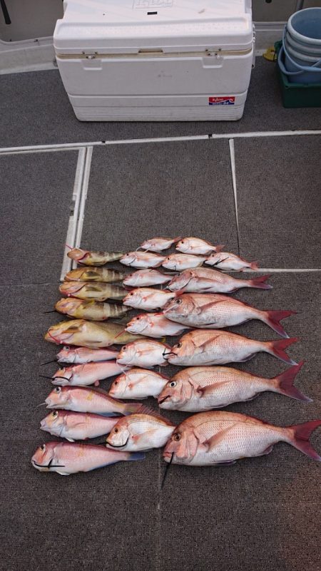 ARCADIAⅡ (アルカディアⅡ) 釣果