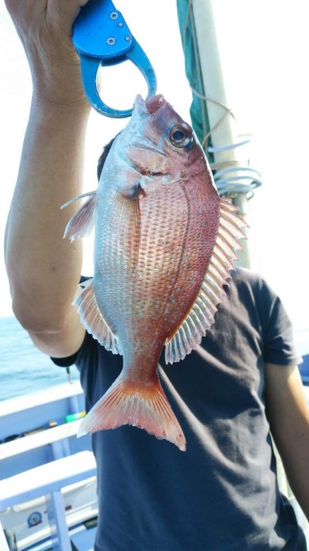 新幸丸 釣果