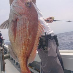だて丸 釣果