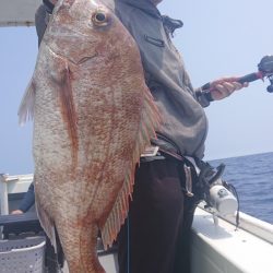 だて丸 釣果