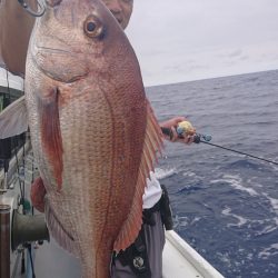 だて丸 釣果