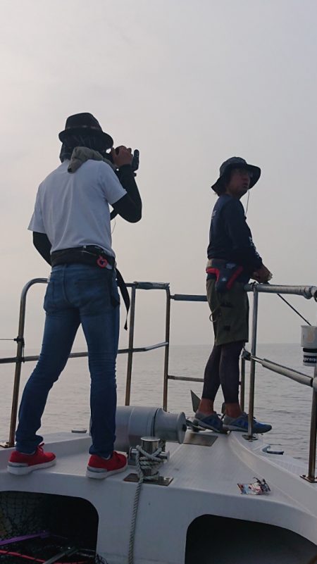 ARCADIAⅡ (アルカディアⅡ) 釣果