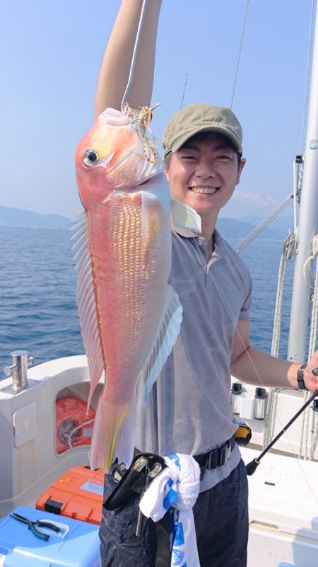 ARCADIAⅡ (アルカディアⅡ) 釣果