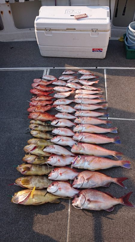 ARCADIAⅡ （アルカディアⅡ） 釣果…