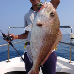 ARCADIAⅡ (アルカディアⅡ) 釣果