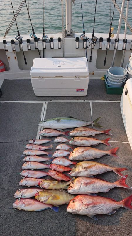 ARCADIAⅡ (アルカディアⅡ) 釣果