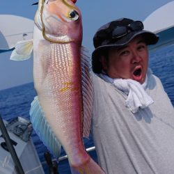 ARCADIAⅡ （アルカディアⅡ） 釣果