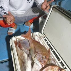シースナイパー海龍 釣果