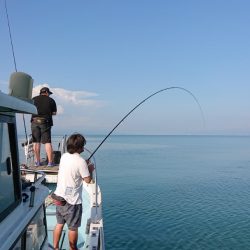 シースナイパー海龍 釣果