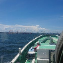 金沢八景鴨下丸 釣果