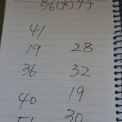 金沢八景鴨下丸 釣果