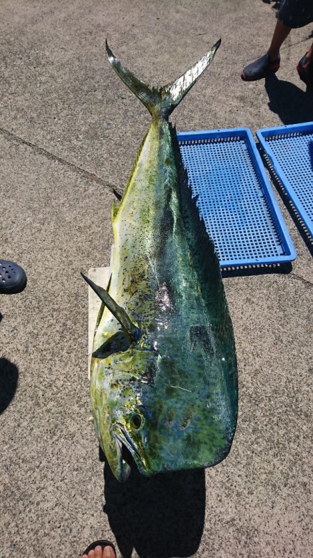 第三共栄丸 釣果