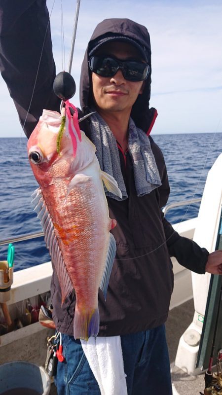 ARCADIAⅡ (アルカディアⅡ) 釣果