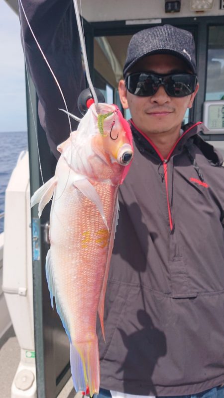 ARCADIAⅡ (アルカディアⅡ) 釣果