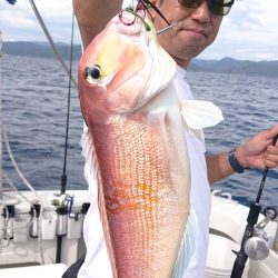 ARCADIAⅡ (アルカディアⅡ) 釣果