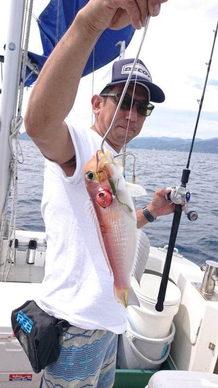 ARCADIAⅡ (アルカディアⅡ) 釣果