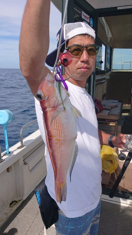 ARCADIAⅡ (アルカディアⅡ) 釣果