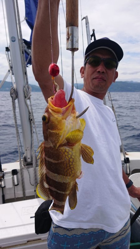 ARCADIAⅡ (アルカディアⅡ) 釣果