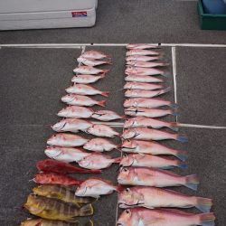 ARCADIAⅡ (アルカディアⅡ) 釣果