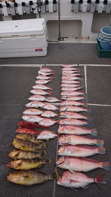 ARCADIAⅡ （アルカディアⅡ） 釣果…