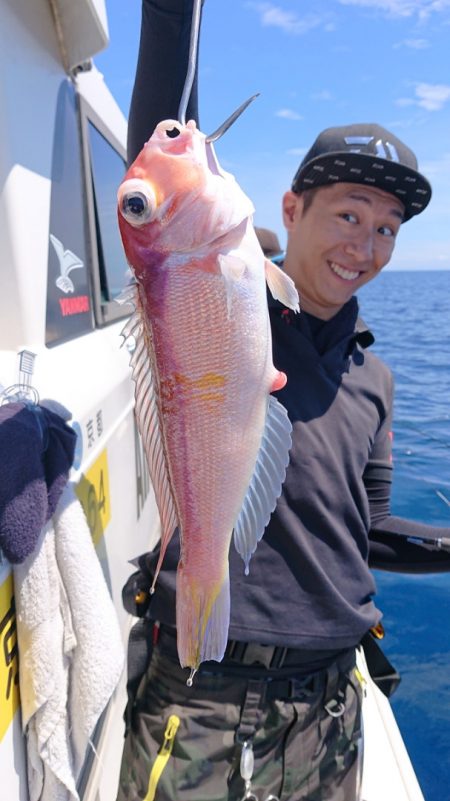 ARCADIAⅡ (アルカディアⅡ) 釣果