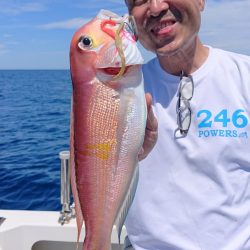 ARCADIAⅡ (アルカディアⅡ) 釣果