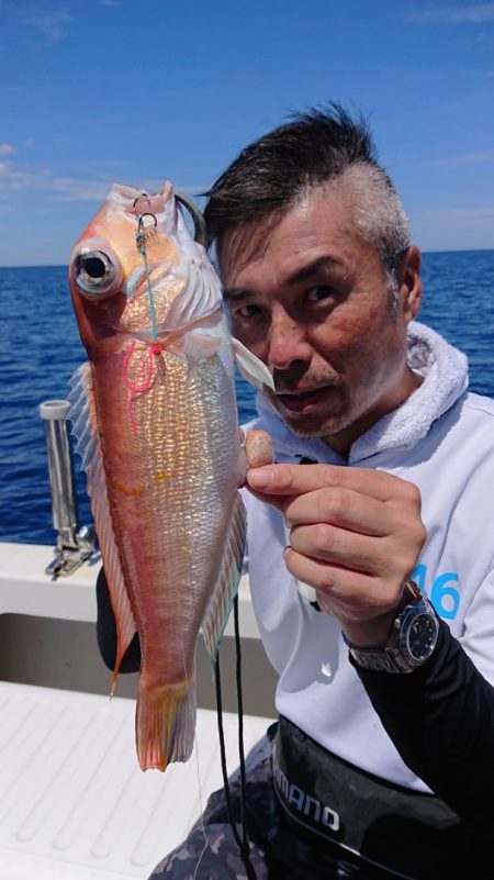 ARCADIAⅡ (アルカディアⅡ) 釣果