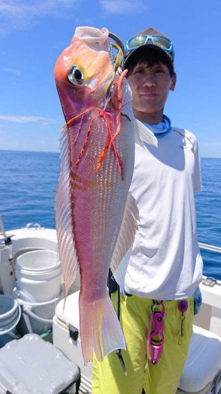 ARCADIAⅡ (アルカディアⅡ) 釣果