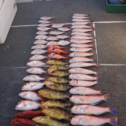 ARCADIAⅡ (アルカディアⅡ) 釣果