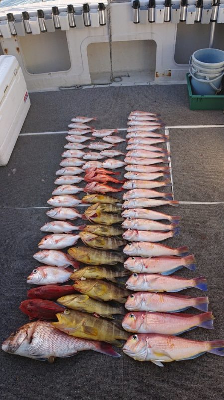 ARCADIAⅡ （アルカディアⅡ） 釣果…