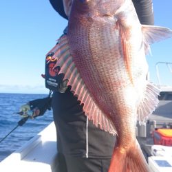 だて丸 釣果